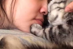 秒拍动物搞笑视频,笑出腹肌的动物日常