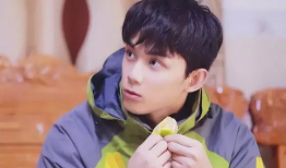 娱乐圈吃瓜吴磊图片大全,高清美图大揭秘