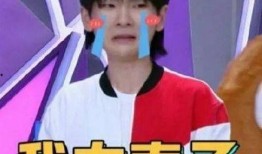 娱乐吃瓜酱量子纠纷,揭秘娱乐圈神秘事件背后的真相