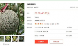 吃瓜大瓜娱乐圈百度网盘