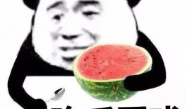 娱乐吃瓜酱独自打车,揭秘网约车行业新动态