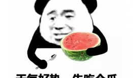 吃瓜表情包回复怎么说好听