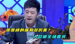 张雪峰与娱乐圈,揭秘教育专家的跨界之旅