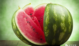 吃瓜网免费官网,畅享海量资讯，轻松获取娱乐热点