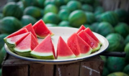 吃瓜网免费官网,畅享海量资讯，轻松获取娱乐热点